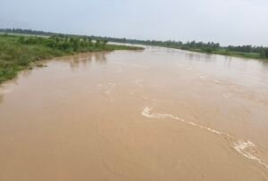 IMG 20260820 1402078872
