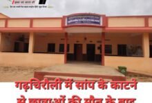 गढ़चिरौली में सांप के काटने से छात्राओं की मौत के बाद बड़ा खुलासा! 26 PhotoCollage 1786499146602