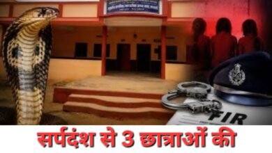 गढचिरोली: सर्पदंश से 3 छात्राओं की मौत के बाद जपतलाई आश्रमशाला की मान्यता रद्द 16 PhotoCollage 1787115550023