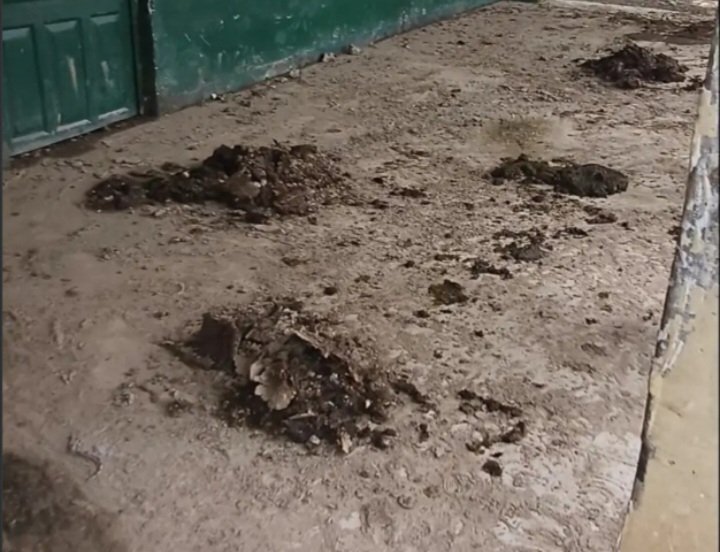 हाथरस सिकंदराराऊ के स्कूल में अव्यवस्थाएं, एक कमरे में 9 कक्षाएं: ग्रामीणों का आरोप, बाउंड्रीवाल टूटी; गंदगी और जलभराव की समस्या 4 Screenshot 20260819 050330 Gallery