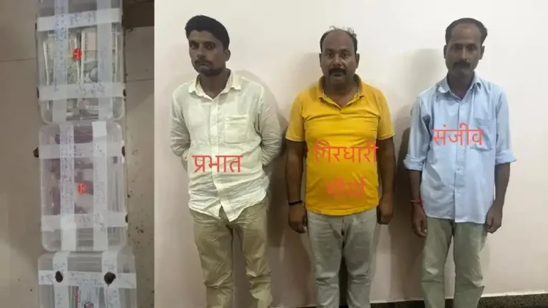 Varanasi News: फर्जी WCCB खबरी बनकर 5 लाख ठगे, फंसाने के लिए कमरे में रखे बाघ के नाखून और मॉनिटर लिजर्ड के अंग; STF ने किया गिरोह का भंडाफोड़