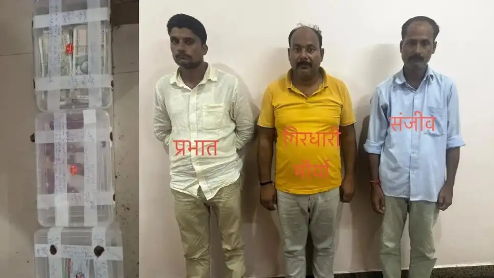 Varanasi News: फर्जी WCCB खबरी बनकर 5 लाख ठगे, फंसाने के लिए कमरे में रखे बाघ के नाखून और मॉनिटर लिजर्ड के अंग; STF ने किया गिरोह का भंडाफोड़ 1 dbd2f43a4b9d12d5104471479b1240f7a0637eaee941736c1b2d636441342300.0