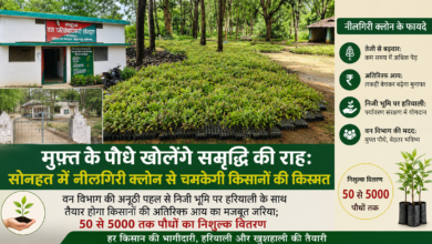 मुफ्त के पौधे खोलेंगे समृद्धि की राह: सोनहत में नीलगिरी क्लोन से चमकेगी किसानों की किस्मत 14 file 000000000f308211b547d05cb84e510f