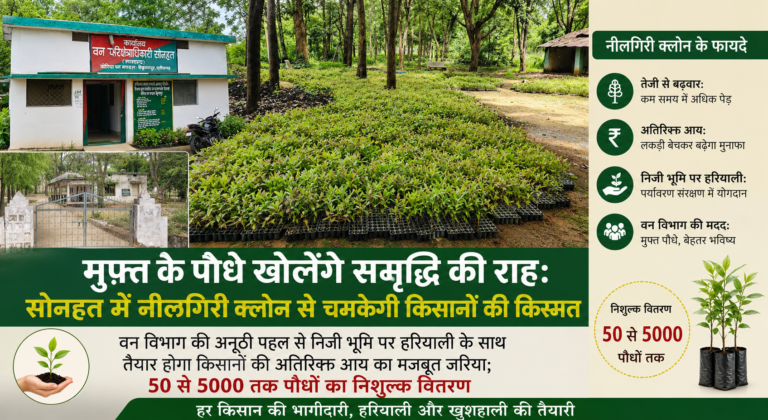 मुफ्त के पौधे खोलेंगे समृद्धि की राह: सोनहत में नीलगिरी क्लोन से चमकेगी किसानों की किस्मत