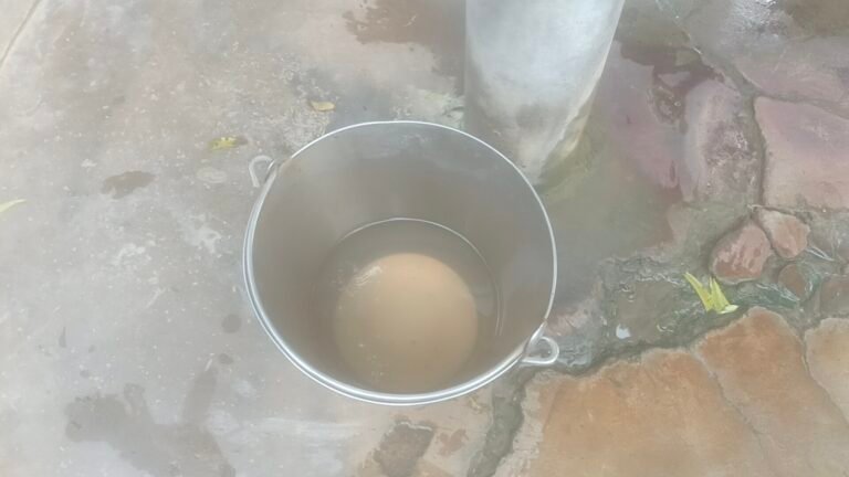 चिचुढी सहगिया उतरौला बलरामपुर से बड़ी खबर