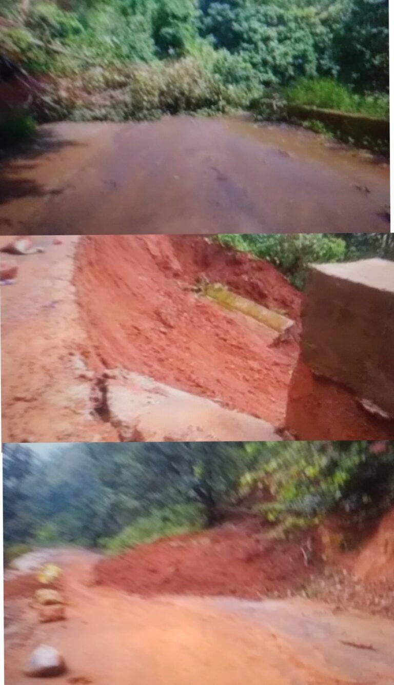 लगातार बारिश से पेन्ड्रा- अमरकंटक मार्ग का सड़क संपर्क टूट गया है