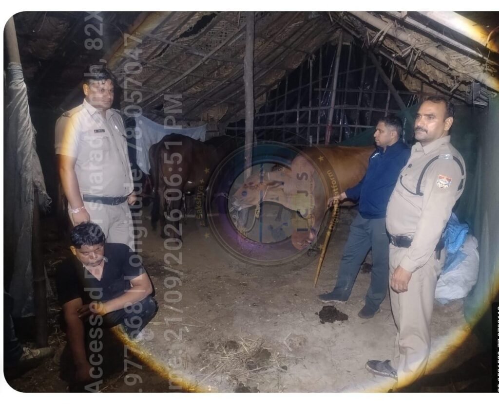 ग्राम शिवदासपुर में गोकशी की सूचना पर छापा, 280 किलो गोमांस बरामद, एक आरोपी गिरफ्तार, आठ गोवंशीय पशु बरामद; चार आरोपी फरार, तलाश में जुटी हरिद्वार पुलिस। 1 ग्राम शिवदासपुर में गोकशी की सूचना पर छापा, 280 किलो गोमांस बरामद, एक आरोपी गिरफ्तार, आठ गोवंशीय पशु बरामद; चार आरोपी फरार, तलाश में जुटी हरिद्वार पुलिस। - HARIDWAR, उत्तराखंड