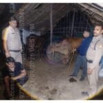 ग्राम शिवदासपुर में गोकशी की सूचना पर छापा, 280 किलो गोमांस बरामद, एक आरोपी गिरफ्तार, आठ गोवंशीय पशु बरामद; चार आरोपी फरार, तलाश में जुटी हरिद्वार पुलिस।