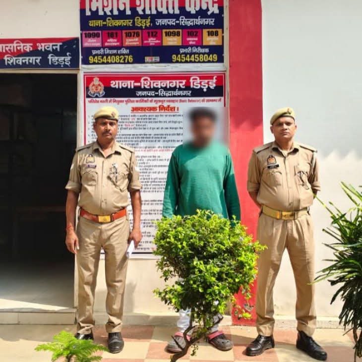 थाना शिवनगर डिडई पुलिस द्वारा एक नफर वारण्टी को गिरफ्तार किया गया तथा आवश्यक विधिक कार्यवाही पूर्ण करते हुए माननीय न्यायालय भेजा गया।