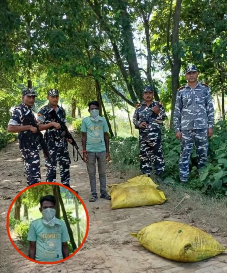 3 बोरी यूरिया खाद के साथ एक व्यक्ति पकड़ा भारत-नेपाल सीमा पर एसएसबी की कार्रवाई, सीमा शुल्क विभाग को सौंपा