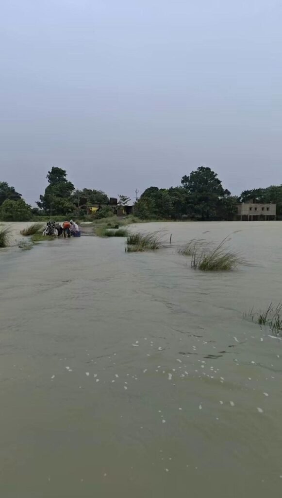 सिद्धार्थनगरः गांव के रास्ते पर चढ़ा 3 फीट पानी, आवागमन प्रभावित 1 सिद्धार्थनगरः गांव के रास्ते पर चढ़ा 3 फीट पानी, आवागमन प्रभावित - SIDDHARTHNAGAR, उत्तर प्रदेश