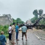 थाना त्रिलोकपुर पुलिस द्वारा तेज बारिश एवं हवा के कारण बिस्कोहर-इटवा मुख्य मार्ग पर बलुआ में गिरे आम के पेड़ को तत्काल वन विभाग की मदद से हटवाकर मार्ग को खुलवाया गया ।