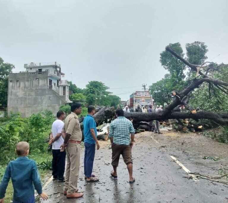 थाना त्रिलोकपुर पुलिस द्वारा तेज बारिश एवं हवा के कारण बिस्कोहर-इटवा मुख्य मार्ग पर बलुआ में गिरे आम के पेड़ को तत्काल वन विभाग की मदद से हटवाकर मार्ग को खुलवाया गया ।