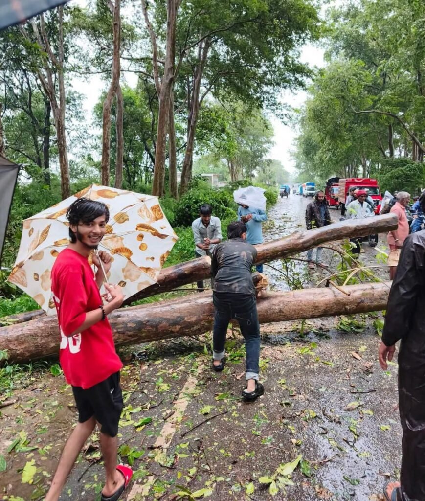 इटवा-डुमरियागंज मार्ग पर हाईवे पर गिरा विशाल पेड़, आवागमन बाधित 1 इटवा-डुमरियागंज मार्ग पर हाईवे पर गिरा विशाल पेड़, आवागमन बाधित - SIDDHARTHNAGAR, उत्तर प्रदेश