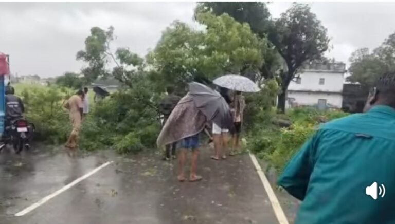 तेज हवा और बारिश से बस्ती-डुमरियागंज मार्ग पर गिरा भारी पेड़, आवागमन बाधित