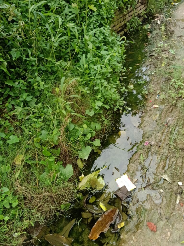 बजबजाती नालियां और गंदगी बनी बसुका गांव की नियति, 40 साल पुराने खड़ंजों पर चल रहा विकास का दावा!