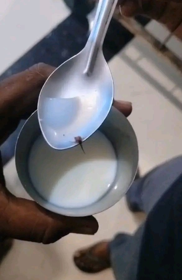 जिला अस्पताल भिंड में मरीजों को बाँटे जाने वाले दूध में मिला कीड़ा