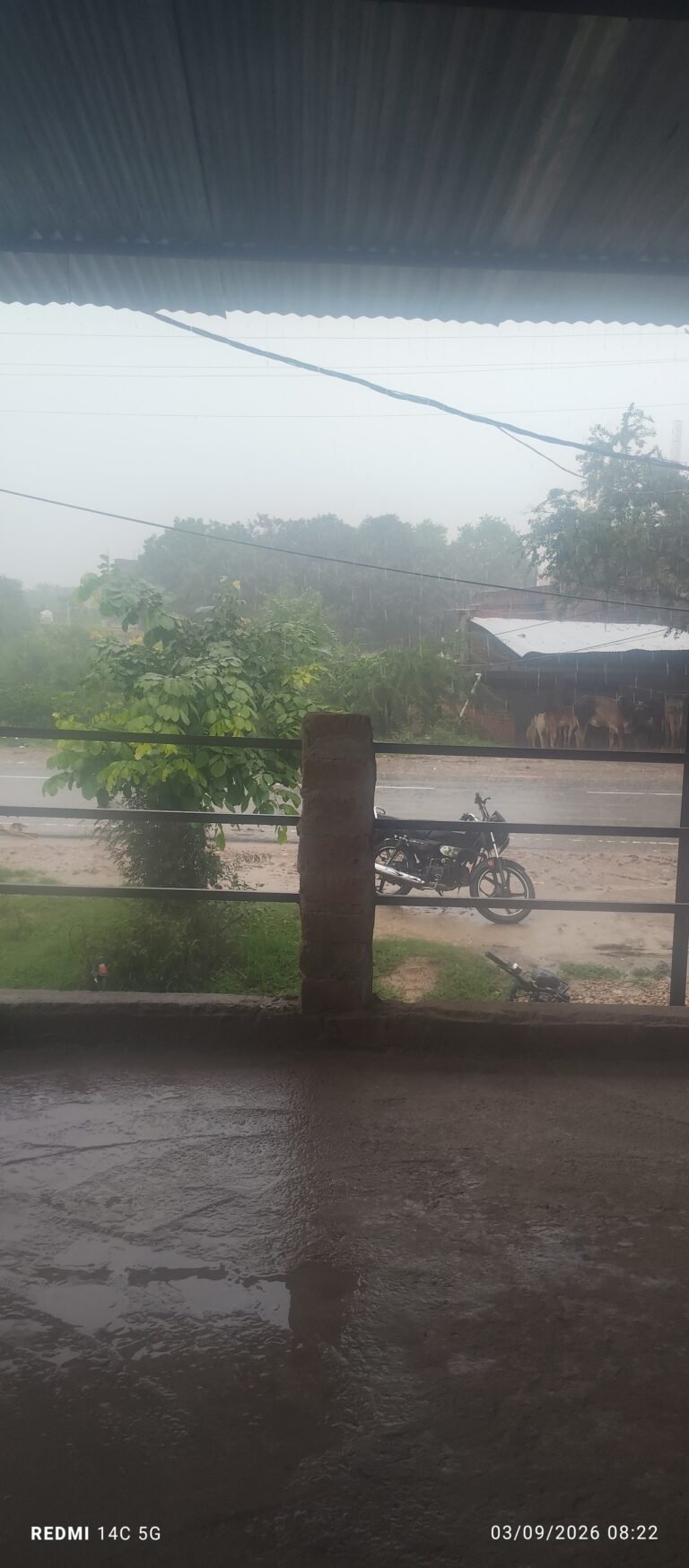 गोरमी में हुई झमाझम बारिश