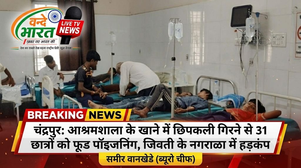 आश्रमशाला के खाने में छिपकली गिरने से 31 छात्रों को फूड पॉइजनिंग, जिवती के नगराळा में हड़कंप - चंद्रपूर, महाराष्ट्र