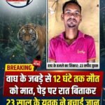 वाघ के जबड़े से 12 घंटे तक मौत को मात, पेड़ पर रात बिताकर 23 साल के युवक ने बचाई जान