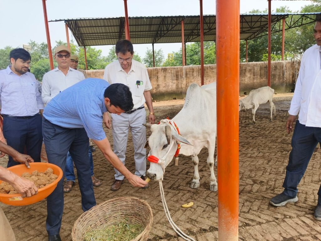 जिलाधिकारी ने समेरपर की गौशालाओं का किया औचक निरीक्षण, व्यवस्थाओं में सुधार के दिए कडे निर्देश अच्छी व्यवस्थाओं वाली गौशालाओं में बढा्ई जाएगी क्षमता, मानकविहीन गौशालाओं को बंद कर ग 1 जिलाधिकारी ने समेरपर की गौशालाओं का किया औचक निरीक्षण, व्यवस्थाओं में सुधार के दिए कडे निर्देश अच्छी व्यवस्थाओं वाली गौशालाओं में बढा्ई जाएगी क्षमता, मानकविहीन गौशालाओं को बंद कर ग - HAMIRPUR, उत्तर प्रदेश