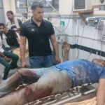 फिरोजपुर झिरका सीएस स्टाफ की गौ तस्करों से मुठभेड़