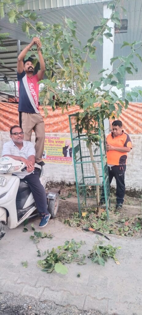ਵਾਤਾਵਰਨ ਦੀ ਦੇਖਭਾਲ 1 ਵਾਤਾਵਰਨ ਦੀ ਦੇਖਭਾਲ - FARIDKOT, पंजाब