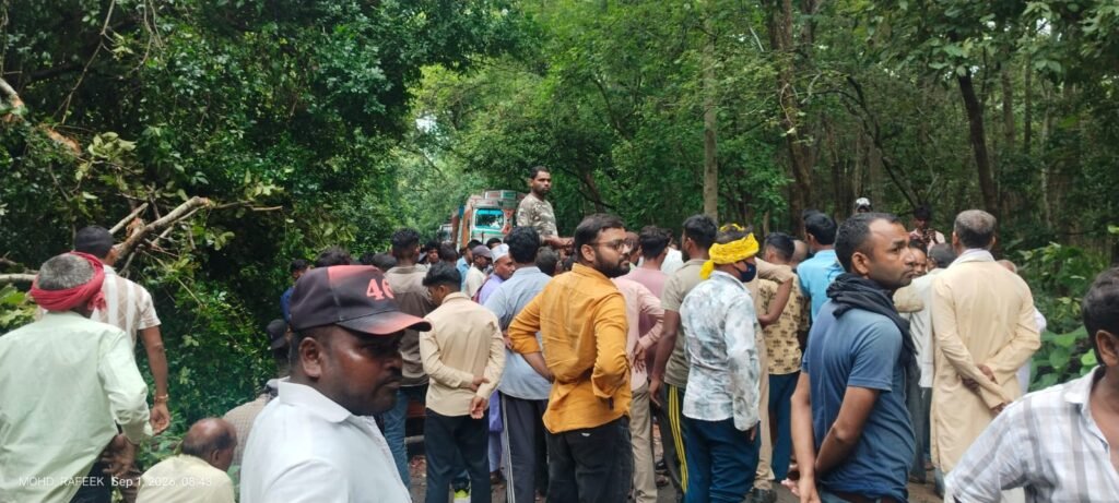 बिछिया/मिहीपुरवा मार्ग पर गिरा विशाल शाखू का पेड़, चार घंटे बाधित रहा आवागमन 1 बिछिया/मिहीपुरवा मार्ग पर गिरा विशाल शाखू का पेड़, चार घंटे बाधित रहा आवागमन - BAHRAICH, उत्तर प्रदेश