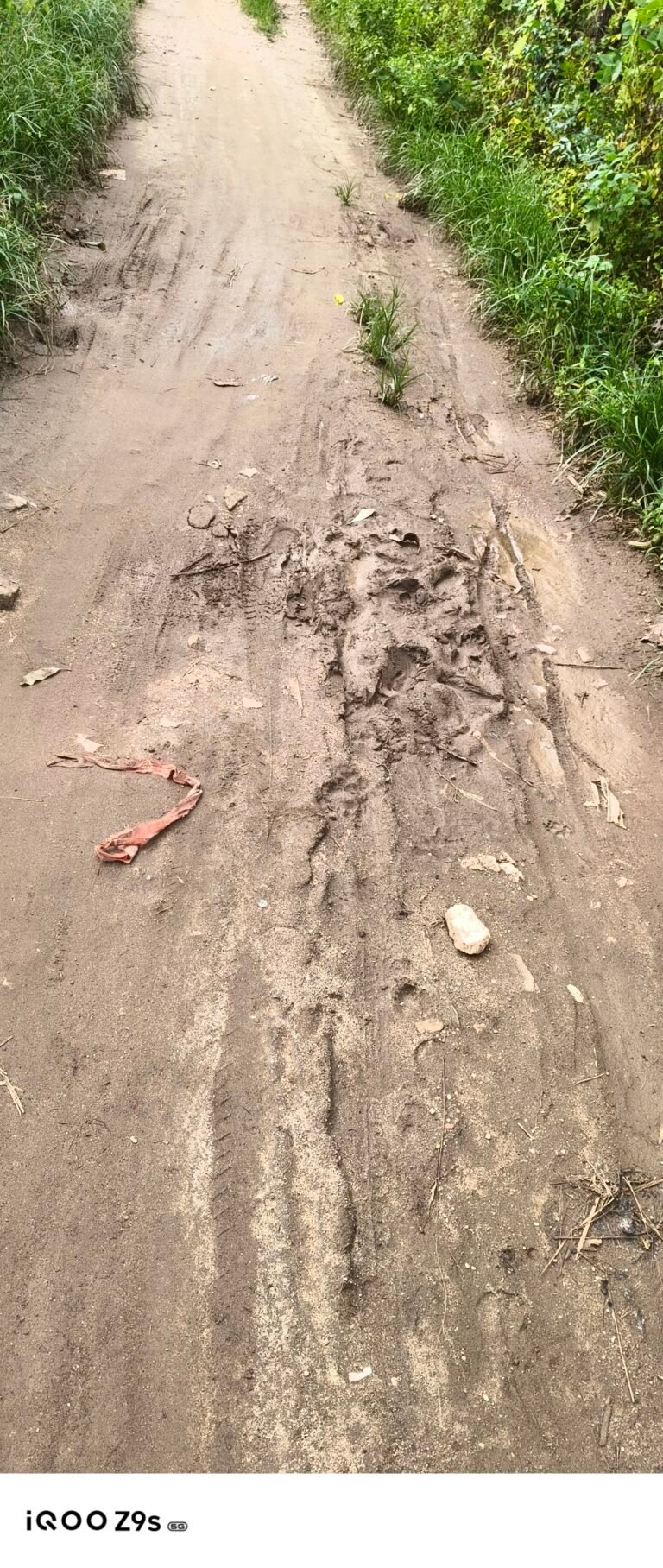 ग्राम पंचायत ताल्केश्वरपुर समस्या