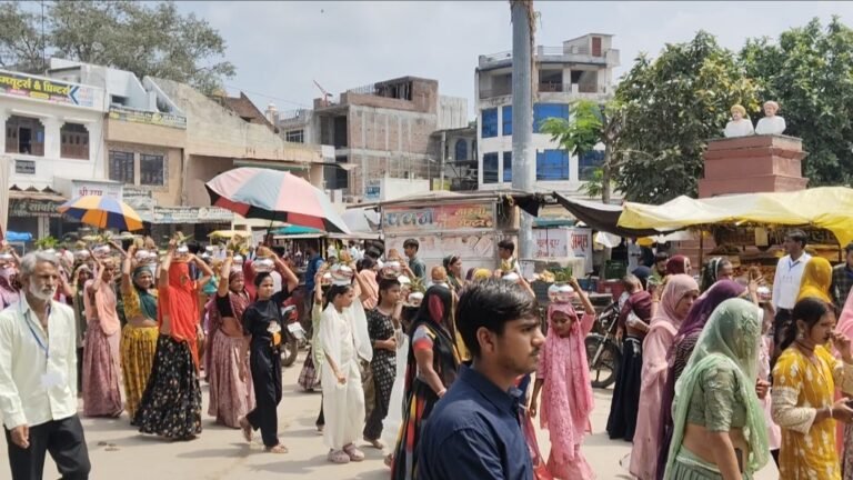 भादवी बीज पर रेगर समाज ने निकाली बाबा रामदेव की भव्य शोभायात्रा