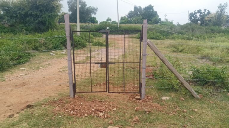 स्थापना के 28 वर्ष बाद राजकीय प्राथमिक विद्यालय जलसागर को मिला मुख्य प्रवेश द्वार