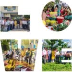 शक्ति कॉलेज सिजुआ में करम पूजन का आयोजन