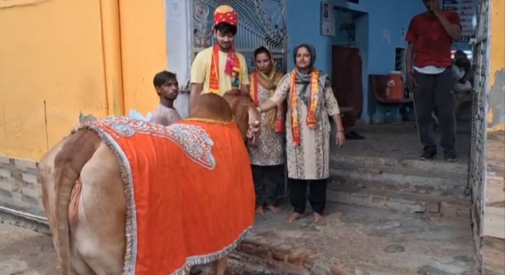 पिता की पुण्यतिथि पर दीपक कुमार ने गौसेवा कर दी श्रद्धांजलि 1 पिता की पुण्यतिथि पर दीपक कुमार ने गौसेवा कर दी श्रद्धांजलि - MAHENDRAGARH, हरियाणा