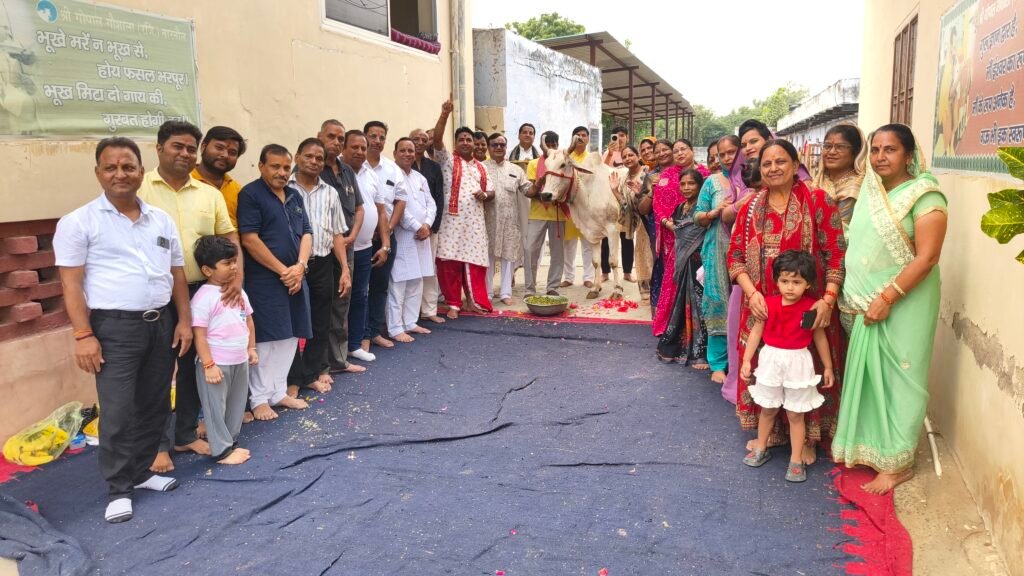गौ माता की सवामणि का आयोजन, श्रद्धालुओं ने विधि-विधान से किया पूजन; हरे चारे की सवामणी लगाकर की गौसेवा* - MAHENDRAGARH, हरियाणा