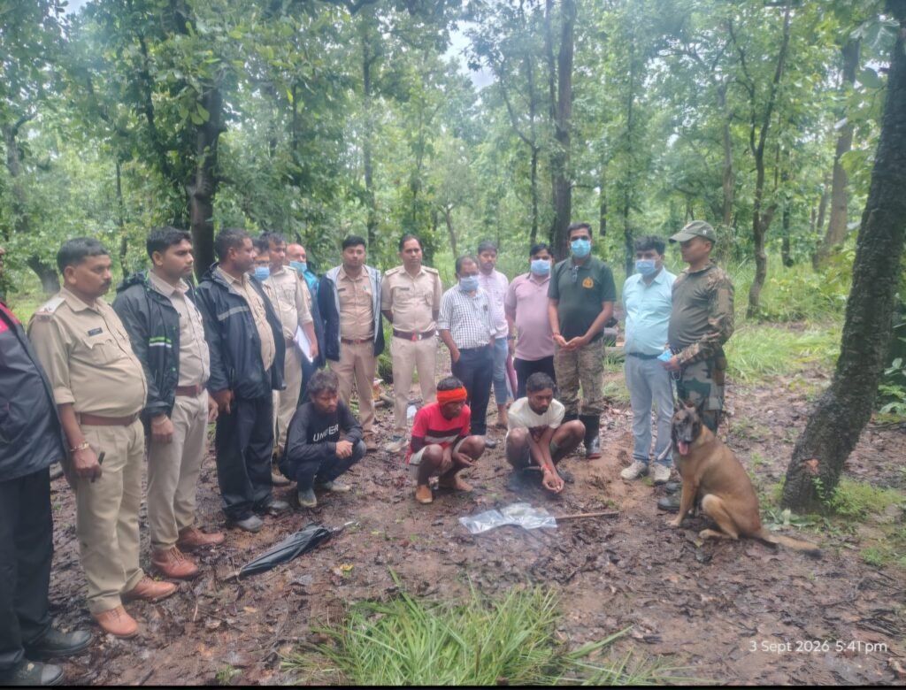 मृत भालू के नाखून काटकर ले जाने वाले आरोपी वन विभाग की कार्रवाई 1 मृत भालू के नाखून काटकर ले जाने वाले आरोपी वन विभाग की कार्रवाई - गौरेला-पेंड्रा-मरवाही, छत्तीसगढ़
