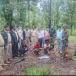 मृत भालू के नाखून काटकर ले जाने वाले आरोपी वन विभाग की कार्रवाई