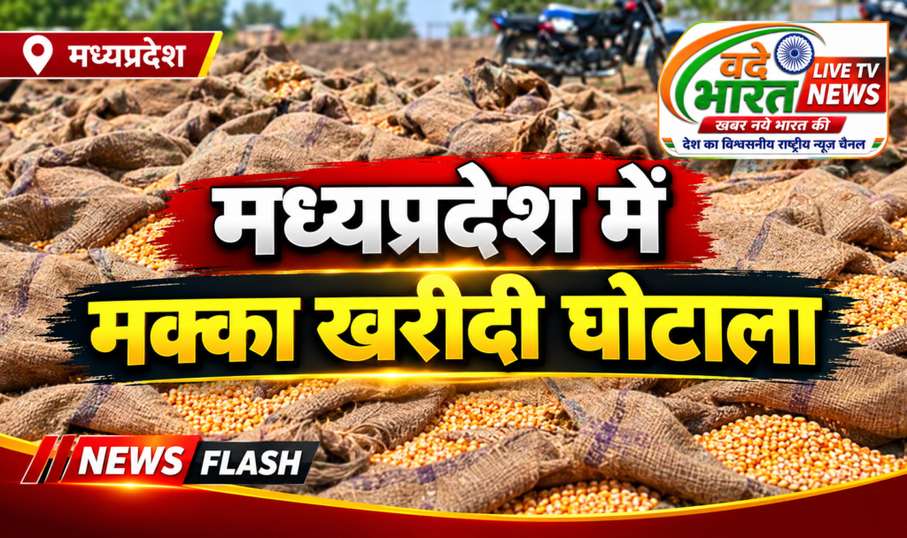 मध्यप्रदेश में मक्का खरीदी में घोटाले का खुलासा… बिना खरीदी के किसानों को किया भुगतान 1 मध्यप्रदेश में मक्का खरीदी में घोटाले का खुलासा… बिना खरीदी के किसानों को किया भुगतान - इन्दौर, मध्य प्रदेश