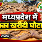 मध्यप्रदेश में मक्का खरीदी में घोटाले का खुलासा… बिना खरीदी के किसानों को किया भुगतान