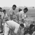 नौतनवा थाना क्षेत्र में सोमवार को रेलवे ट्रैक पर ट्रेन की चपेट में आने से करीब 22 वर्षीय युवती की हुई दर्दनाक मौत