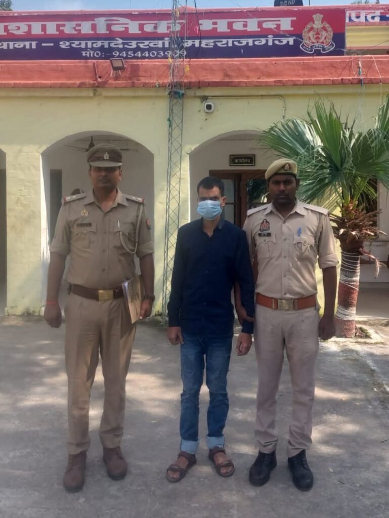 शादी का झांसा देकर संबंध बनाने का आरोप, श्यामदेउरवा पुलिस ने वांछित आरोपी को किया गिरफ्तार - MAHRAJGANJ, उत्तर प्रदेश