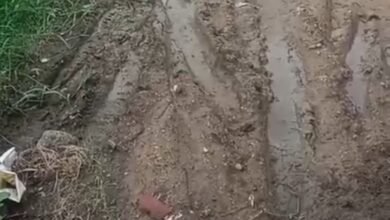 महुली में पितरम गौड़ के घर से इंद्रदेव कन्नौजिया के घर तक की सड़क बदहाल, कीचड़ में तब्दील हुआ रास्ता 31 महुली में पितरम गौड़ के घर से इंद्रदेव कन्नौजिया के घर तक की सड़क बदहाल, कीचड़ में तब्दील हुआ रास्ता - SONBHADRA, उत्तर प्रदेश
