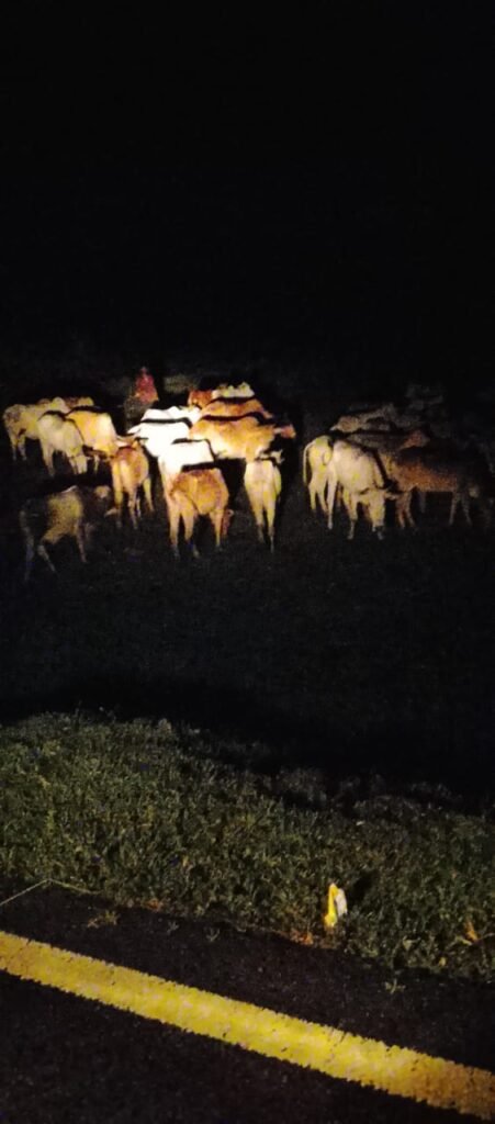 ब्रेकिंग न्यूज़ 50 गायों को लेकर कार्रवाई की मांग, कधवन-कोलझिकी पंचायत में रेलवे लाइन के पास मौजूद हैं पशु 1 ब्रेकिंग न्यूज़ 50 गायों को लेकर कार्रवाई की मांग, कधवन-कोलझिकी पंचायत में रेलवे लाइन के पास मौजूद हैं पशु - गढ़वा, झारखंड