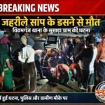 खेत में काम कर रहे अधेड़ को जहरीले सर्प ने डंसा, मौत