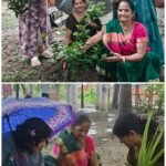 अंतर्राष्ट्रीय अग्रवाल सम्मेलन ट्रस्ट उत्तराखंड द्वारा पितरों के नाम एक शाम के अंतर्गत पौधा रोपण कार्यक्रम संपन्न