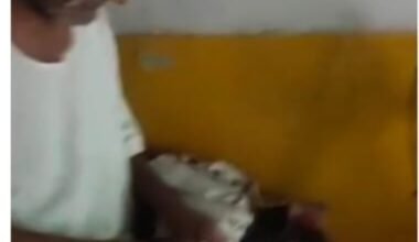 "मुख्यालय के पास खुली छूट: रामपुर सकरवारी में बिक रहा धड़ल्ले से गांजा, आबकारी विभाग गहरी नींद में!" 16 "मुख्यालय के पास खुली छूट: रामपुर सकरवारी में बिक रहा धड़ल्ले से गांजा, आबकारी विभाग गहरी नींद में!" - AMBEDKAR NAGAR, उत्तर प्रदेश