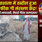 गौशाला या मौत का केंद्र? गेट पर मरणासन्न और मृत पड़े गौवंश, प्रशासनिक चुप्पी पर सुदामाजी का तीखा हमला।