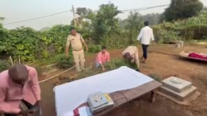 सिंगरौली: घर की बाउंड्री से 2 लाख के गांजा के 8 हरे पेड़ जब्त चितरंगी पुलिस की नशे के खिलाफ बड़ी कार्रवाई।
