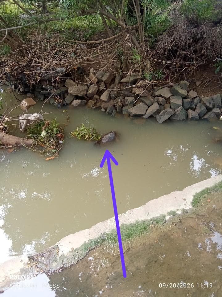 जिला रीवा तहसील त्योंथर पंचायत घटेहा पूर्वा (झलरी)का ममला समने आया