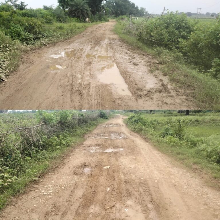 सिलचट सड़क की बदहाली पर फूटा ग्रामीणों का गुस्सा, बोले—कुंभकर्णी नींद में सोए हैं जनप्रतिनिधि,आंदोलन के बाद बनी ग्रेवल सड़क बारिश होते ही बह गई* *सड़क में जगह-जगह गड्ढे बने हादसो
