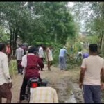 उमरान रायपुर में सड़क पर जल भराव झाड़ियां गद्दा देखभाल साफ सफाई